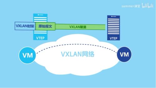 VXLAN通信原理與應用場景 網絡與信息安全軟件開發視角